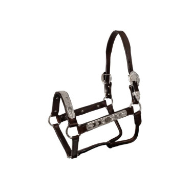 Licol cuir Pool’s ELHT/00935 Marron