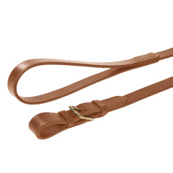 Equestro leidlijn met messing ketting — paardrijden