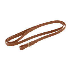 Equestro leidlijn met messing ketting — paardrijden