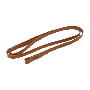 Equestro leidlijn met messing ketting — paardrijden
