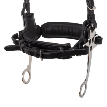 Bridon hackamore Supreme Noir