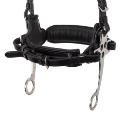 Hackamore-hoofdstel Supreme Zwart