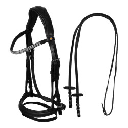 Bridon d’équitation Equestro Softy Cover avec rênes