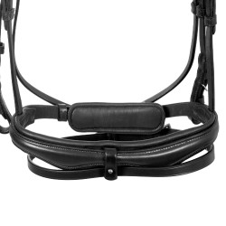Bridon Equestro à muserolle simple avec têtière large et courbée Noir