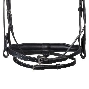 Equestro hoofdstel met anatomische neusriem Zwart Equestro hoofdstel met anatomische neusriem Zwart