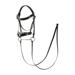 Glanzend leren hoofdstel voor hobby horse Equestro Zwart