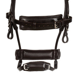Bridon Comfitec Equestro anatomique en cuir Marron foncé