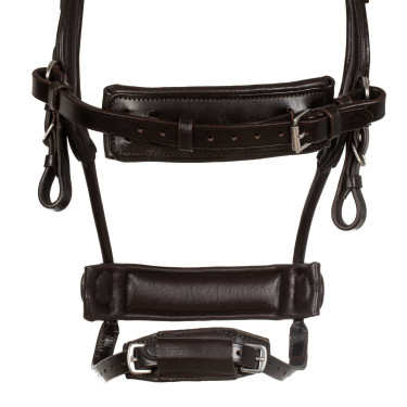 Bridon Comfitec Equestro anatomique en cuir Marron foncé