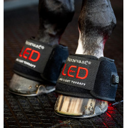Mini Guêtre de Thérapie Horseware par Lumière Rouge LED Noir / noir