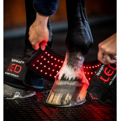 Mini Guêtre de Thérapie Horseware par Lumière Rouge LED Noir / noir