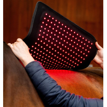 Tapis de Thérapie par Lumière Rouge LED Horseware Noir / noir