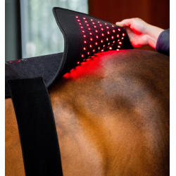 Horseware LED-lichttherapiedeken Zwart / zwart Horseware LED-lichttherapiedeken Zwart / zwart