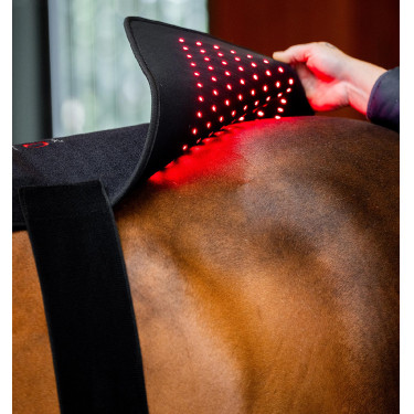 Tapis de Thérapie par Lumière Rouge LED Horseware Noir / noir