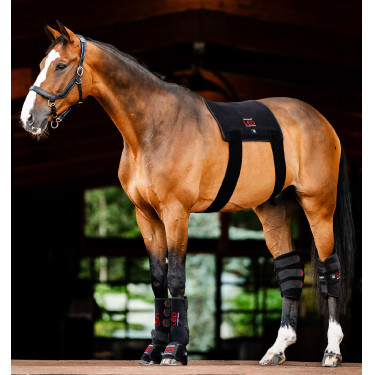 Tapis de Thérapie par Lumière Rouge LED Horseware Noir / noir