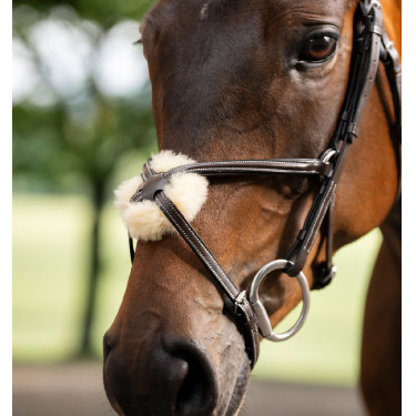 Bridon Grackle en forme de 8 Horseware muserolle croisée Marron