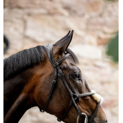 Bridon Grackle en forme de 8 Horseware muserolle croisée Marron