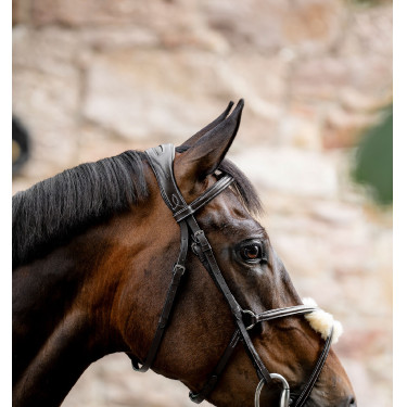 Bridon Grackle en forme de 8 Horseware muserolle croisée Marron