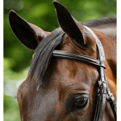 Bridon Grackle en forme de 8 Horseware muserolle croisée Marron