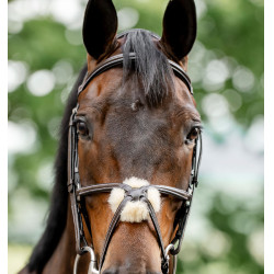 Bridon Grackle en forme de 8 Horseware muserolle croisée Marron