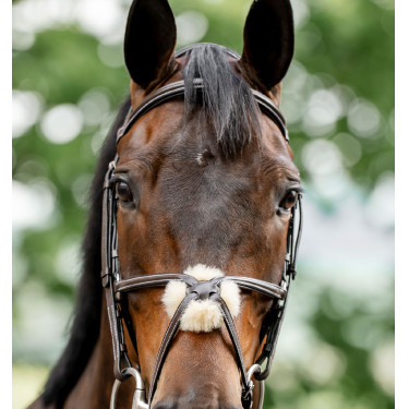 Grackle hoofdstel in 8-vorm Horseware gekruiste neusriem Bruin