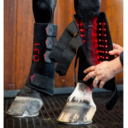Guêtres de thérapie Horseware par lumière rouge LED Noir / noir