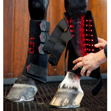 Guêtres de thérapie Horseware par lumière rouge LED Noir / noir
