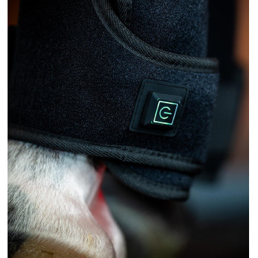 Guêtres de thérapie Horseware par lumière rouge LED Noir / noir