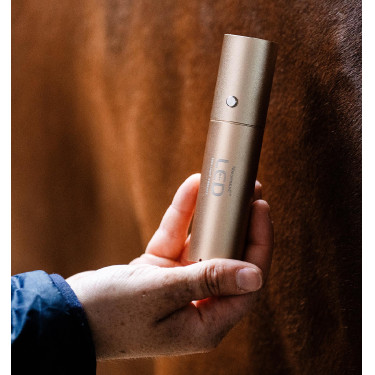 LED-lichttherapie stylus voor paardensport | Equi-Clic