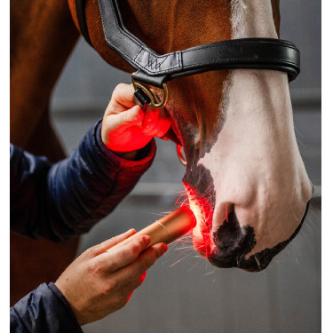 Stylet LED rouge pour thérapie équine Horseware Stylet LED rouge pour thérapie équine Horseware