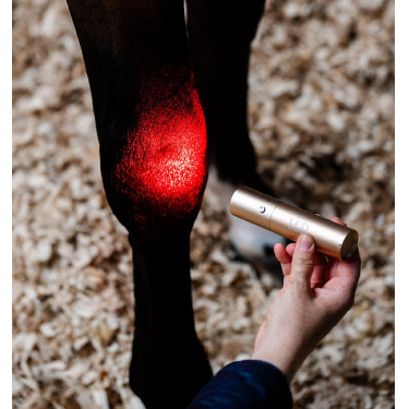 Stylet LED rouge pour thérapie équine Horseware Stylet LED rouge pour thérapie équine Horseware