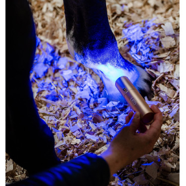 Stylet LED rouge pour thérapie équine Horseware Stylet LED rouge pour thérapie équine Horseware