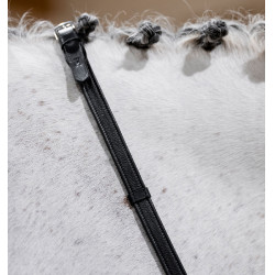 Horseware springteugel met stops Bruin