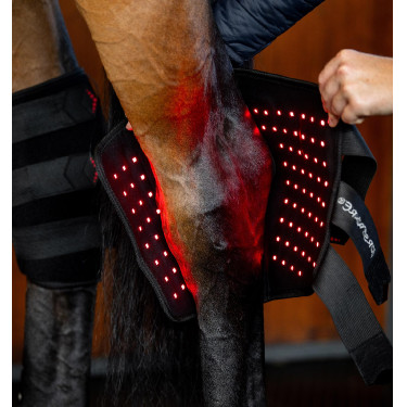 Protège-jarret de Thérapie Horseware par lumière rouge LED Noir / noir Protège-jarret de Thérapie Horseware par lumière rouge LED Noir / noir