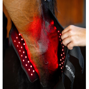 Protège-jarret de Thérapie Horseware par lumière rouge LED Noir / noir Protège-jarret de Thérapie Horseware par lumière rouge LED Noir / noir
