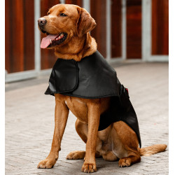 Therapie hondenjas met rood LED-licht | Paardensport