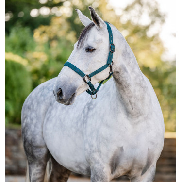Halster en longeerlijn Horseware Groen dynastie Halster en longeerlijn Horseware Groen dynastie
