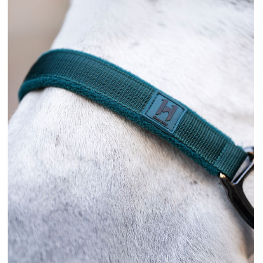 Halster en longeerlijn Horseware Groen dynastie Halster en longeerlijn Horseware Groen dynastie