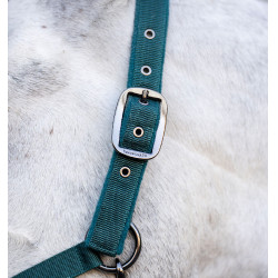 Halster en longeerlijn Horseware Groen dynastie Halster en longeerlijn Horseware Groen dynastie