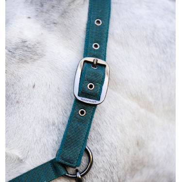 Halster en longeerlijn Horseware Groen dynastie Halster en longeerlijn Horseware Groen dynastie