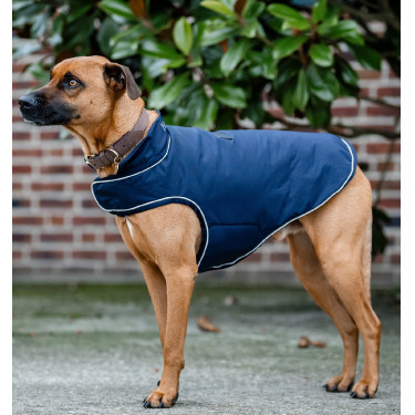 Waterdichte hondenjas 100 g – Horseware Signature | ruitersport