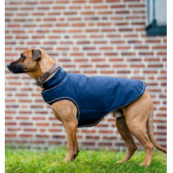 Waterdichte hondenjas 100 g – Horseware Signature | ruitersport