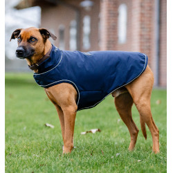Waterdichte hondenjas 100 g – Horseware Signature | ruitersport