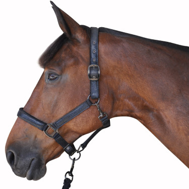 Set Halster + Longe Canter Set Halster + Longe Canter