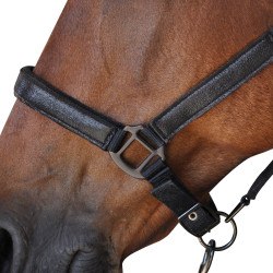 Ensemble Licol + Longe Canter Noir Ensemble Licol + Longe Canter Noir