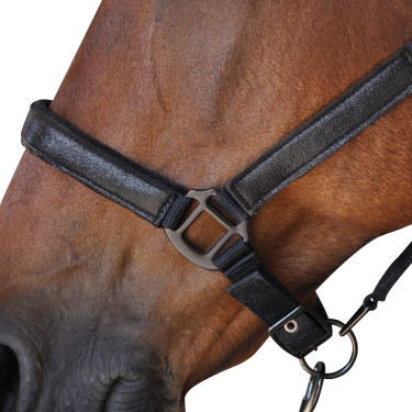Set Halster + Longe Canter Set Halster + Longe Canter