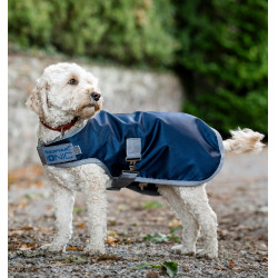 Couverture thérapeutique pour chien Horseware Ionic 50g Bleu impérial / argent & marine