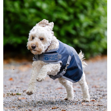 Therapeutische deken voor honden Horseware Ionic 50g Keizerlijk blauw / zilver en marine