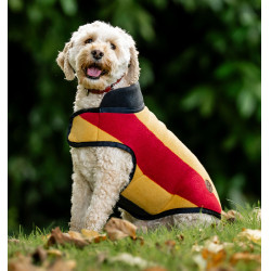 Couverture polaire Horseware Newmarket pour chien Or blanc