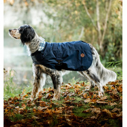 Manteau pour chien Horseware Heritage Newmarket – équitation