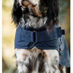 Hondendeken Horseware Newmarket – ruitersport accessoire Hondendeken Horseware Newmarket – ruitersport accessoire